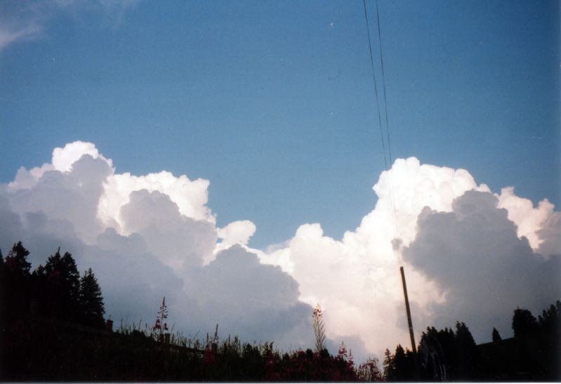 Cumulus